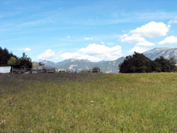 Chevrio (575 m) - Bellagio | Da Limonta a Chevrio