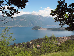 Griante - Cadenabbia | Lago di Como