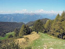 Salita per Terrabiotta (1350 m) | Anello Monte San Primo