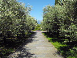 Abbazia di Piona - Lago di Como