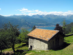 Monte Alto (755 m) - Cangiago | Anello di Camaggiore