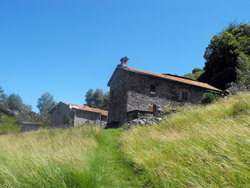 Cascine Pratolungo (870 m) | Anello di Camaggiore