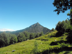 Alpe di Pratolungo (1025 m) | Anello di Camaggiore