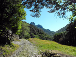 Prim'Alpe (718 m) | Anello da Gajum ai Corni di Canzo