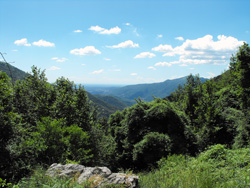 Sentiero n.1 (950 m) | Anello da Gajum ai Corni di Canzo