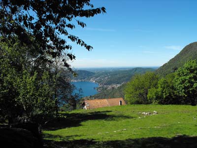 Monte di Liscione (730 m) - Moltrasio | Anello di Moltrasio
