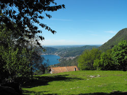 Monte di Liscione (730 m) - Moltrasio | Anello di Moltrasio