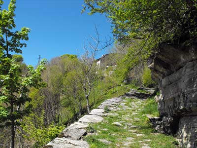 Rifugio Bugone (1110 m) - Moltrasio | Anello di Moltrasio
