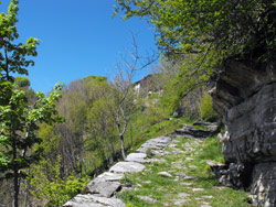Rifugio Bugone (1110 m) - Moltrasio | Anello di Moltrasio