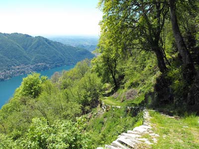 Via ai Monti di Lenno (1085 m) - Moltrasio | Anello di Moltrasio