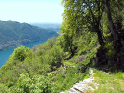 Via ai Monti di Lenno (1085 m) - Moltrasio | Anello di Moltrasio