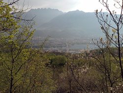 Sentiero di Mezzo (406 m) - Galbiate | Da Malgrate al Monte Barro