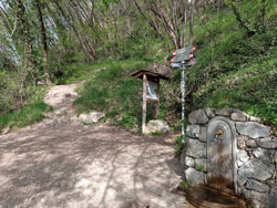 Sentiero di Mezzo (430 m) - Galbiate | Da Malgrate al Monte Barro
