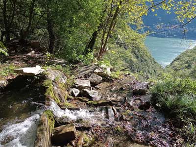 Sorgente e vasca monolitica (480 m) | Escursione da Laglio al monte Colmegnone