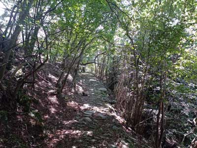Sentiero per i Monti di Nar (1205 m) | Escursione da Laglio al monte Colmegnone