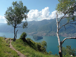 Belvedere del Nuvolone (1050 m) | Anello del Monte Nuvolone