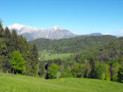 Panorama (810 m) Sentiero n.1A | Anello del Monte Nuvolone