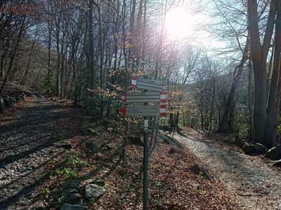 Via Monte Palanzone (805 m) | Anello del Monte Palanzone