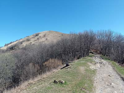 Bocchetta di Palanzo (1210 m) | Anello del Monte Palanzone