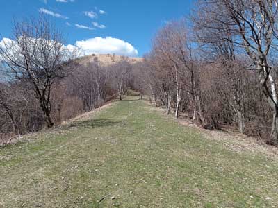 Bocchetta di Sciff (1255 m) | Anello del Monte Palanzone