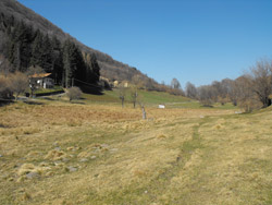 Piana di Crezzo (795 m) - Lasnigo | Da Onno al Monte Megna