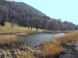 Laghetto di Crezzo (800 m) - Lasnigo | Da Onno al Monte Megna