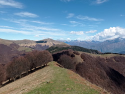 Costone di Pigra (1430 m) | Escursione da Pigra al monte Costone