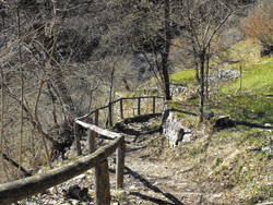 Valle della Camoggia (810 m) - Colonno | Escursione da Pigra al monte Costone