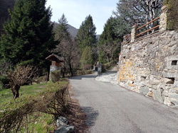 Forum Francescano (550 m) - Caslino d'Erba | Escursione ad anello ai Funghi di Rezzago