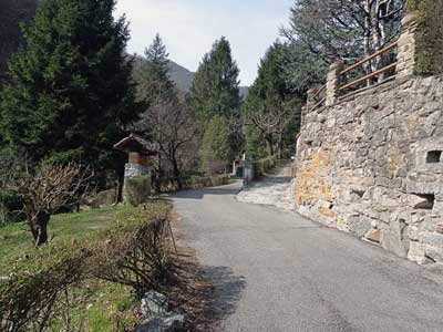 Forum Francescano (550 m) - Caslino d'Erba | Escursione ad anello ai Funghi di Rezzago