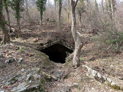 Grotta del Boldrino (750 m) - Caslino d'Erba | Escursione ad anello ai Funghi di Rezzago