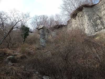 Fungo n.2 (700 m) - Rezzago | Escursione ad anello ai Funghi di Rezzago