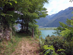 Sentiero per Dascio (245 m) | Da Sorico al Tempio di San Fedelino