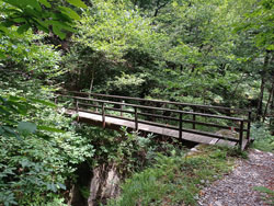 Ponte sul Vallone del Poncio (315 m) | Da Sorico al Tempio di San Fedelino