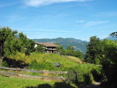 Vignasca (360 m) - Mandello del Lario | Anello da Olcio allo Zucco Sileggio