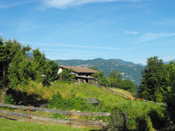 Vignasca (360 m) - Mandello del Lario | Anello da Olcio allo Zucco Sileggio