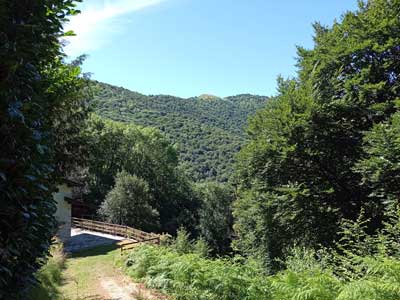 Cassinello (925 m) - Faggeto Lario | Anello del Monte Bolettone