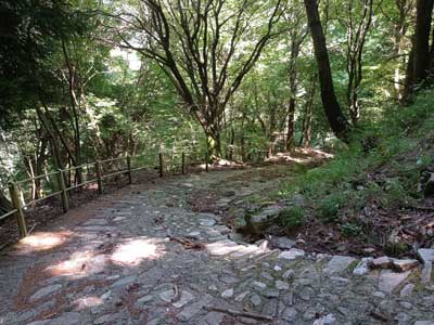 Via n.2 (900 m) - Faggeto Lario | Anello del Monte Bolettone