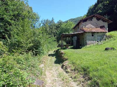 Molina (670 m) - Faggeto Lario | Anello del Monte Bolettone