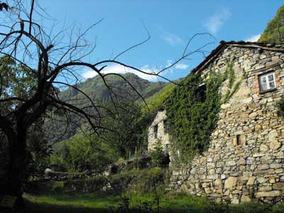 Località Giumanell (327 m) - Brienno | Da Brienno al Monte Comana