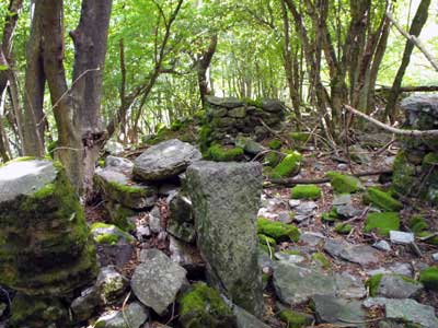 Ruderi di Pra de la Curt (985 m) - Brienno | Da Brienno al Monte Comana