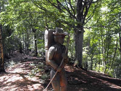 Sentiero delle Espressioni (1110 m) | Da Brienno al Monte Comana