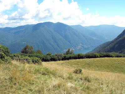 Pian d'Erba (1150 m) - Brienno | Da Brienno al Monte Comana