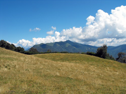 Pian d'Erba (1150 m) - Brienno | Da Brienno al Monte Comana