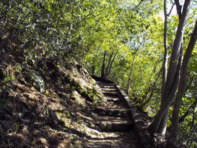 Castel Baradello nel Parco Spina Verde di Como