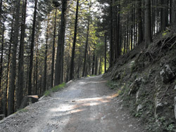 Dorsale del Triangolo Lariano - Via alle Colme (1020 m.)