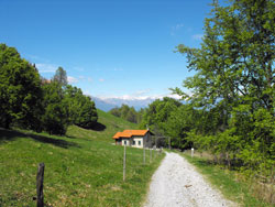 Dorsale del Triangolo Lariano - Alpe delle Ville - Bellagio