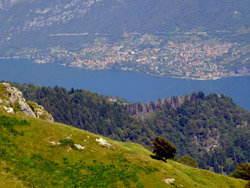 Dorsale del Triangolo Lariano - Alpe di Spessola (1237 m.)