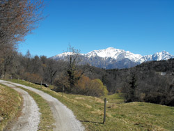 Dorsale del Triangolo Lariano - Rovenza (725 m.)