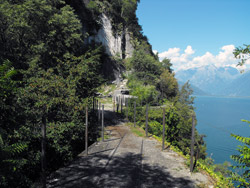 Il Giardino del Merlo